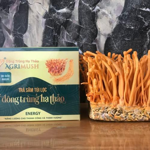 Trẻ Bao Nhiêu Tuổi Thì Dùng Được Đông Trùng Hạ Thảo?