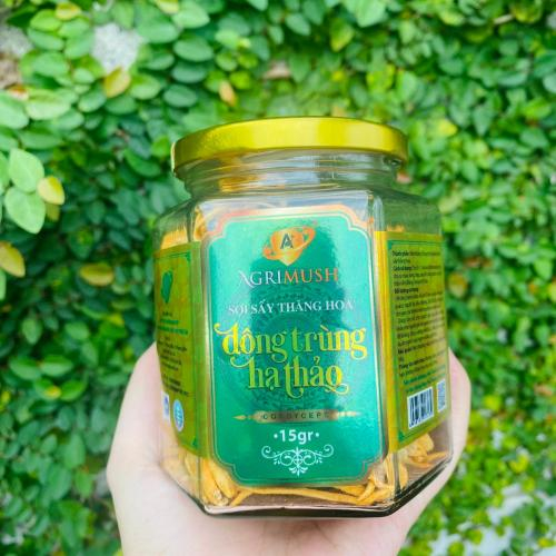 Quy Trình Sấy Đông Trùng Hạ Thảo Sấy Thăng Hoa Giữ Được 97% Dưỡng Chất