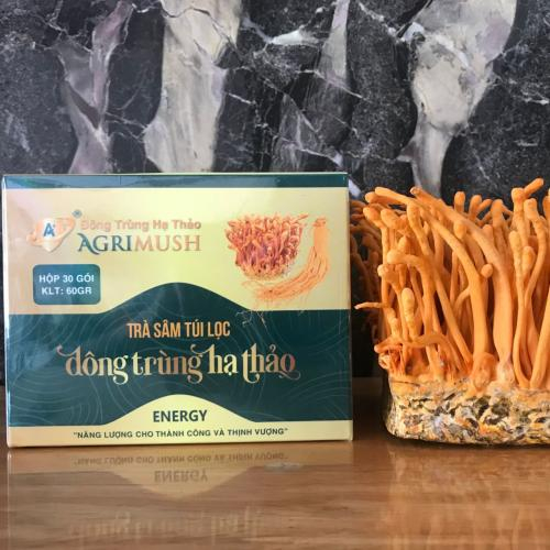 Hướng Dẫn Chọn Mua Trà Sâm Đông Trùng Hạ Thảo Túi Lọc Chất Lượng