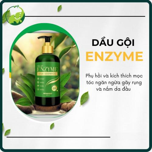 Dầu Gội ENZYME (350ml)