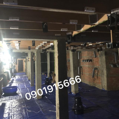 Máy Phun Sương Tạo Ẩm Nhà Yến Có Cần Thiết Hay Không?