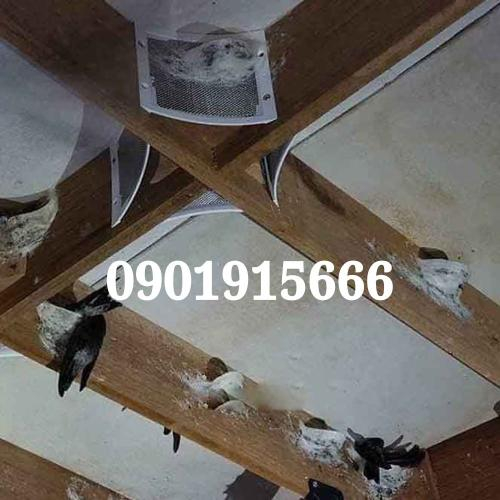 Bảo Dưỡng Góc Lưới Inox 304 Viền Nhựa Như Thế Nào Cho Đúng Cách?