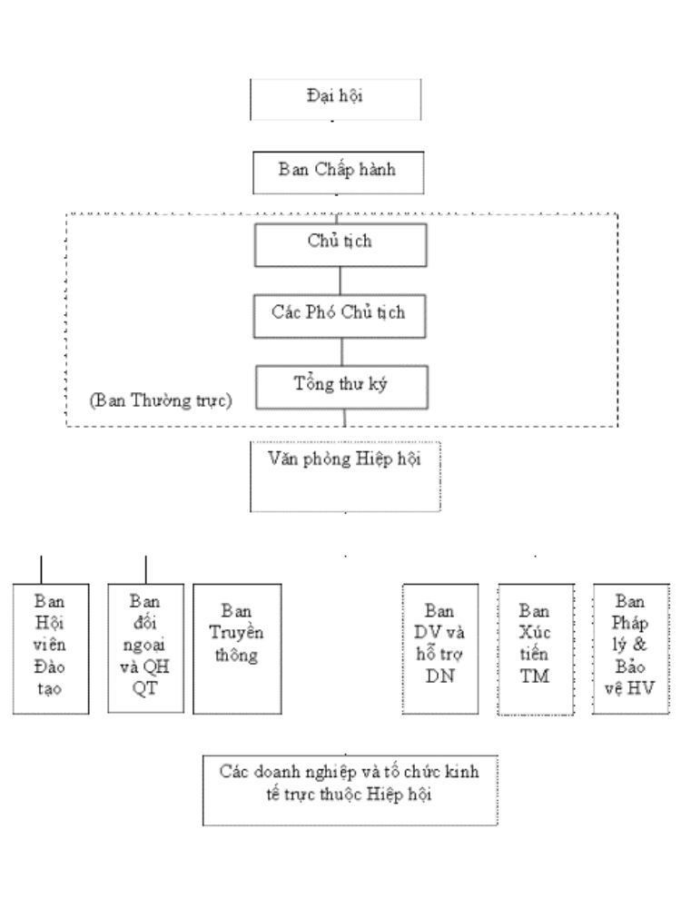 Sơ đồ tổ chức Hiệp hội