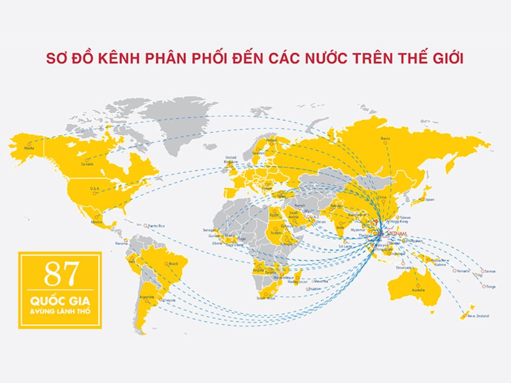 Sản phẩm và kênh phân phối xuất khẩu