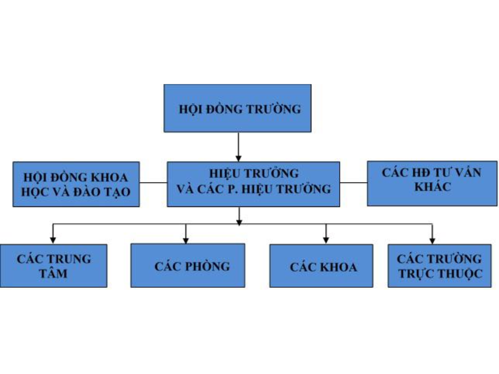 Sơ đồ tổ chức