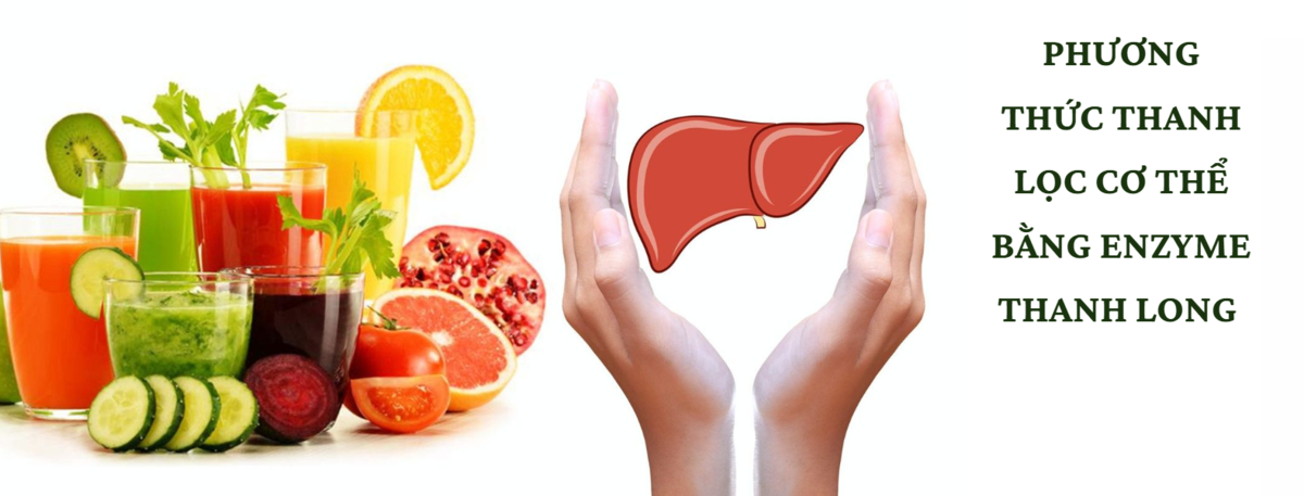 Phương thức thanh lọc cơ thể bằng Enzyme Thanh Long