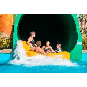 Giới thiệu dịch vụ