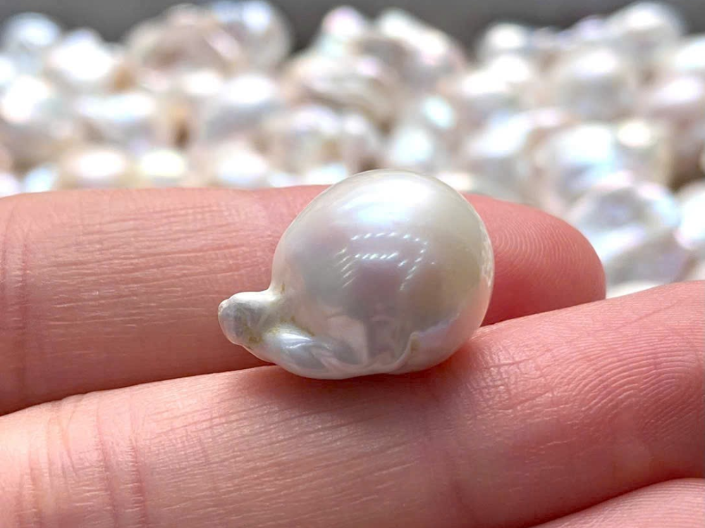 Giới thiệu sản phẩm