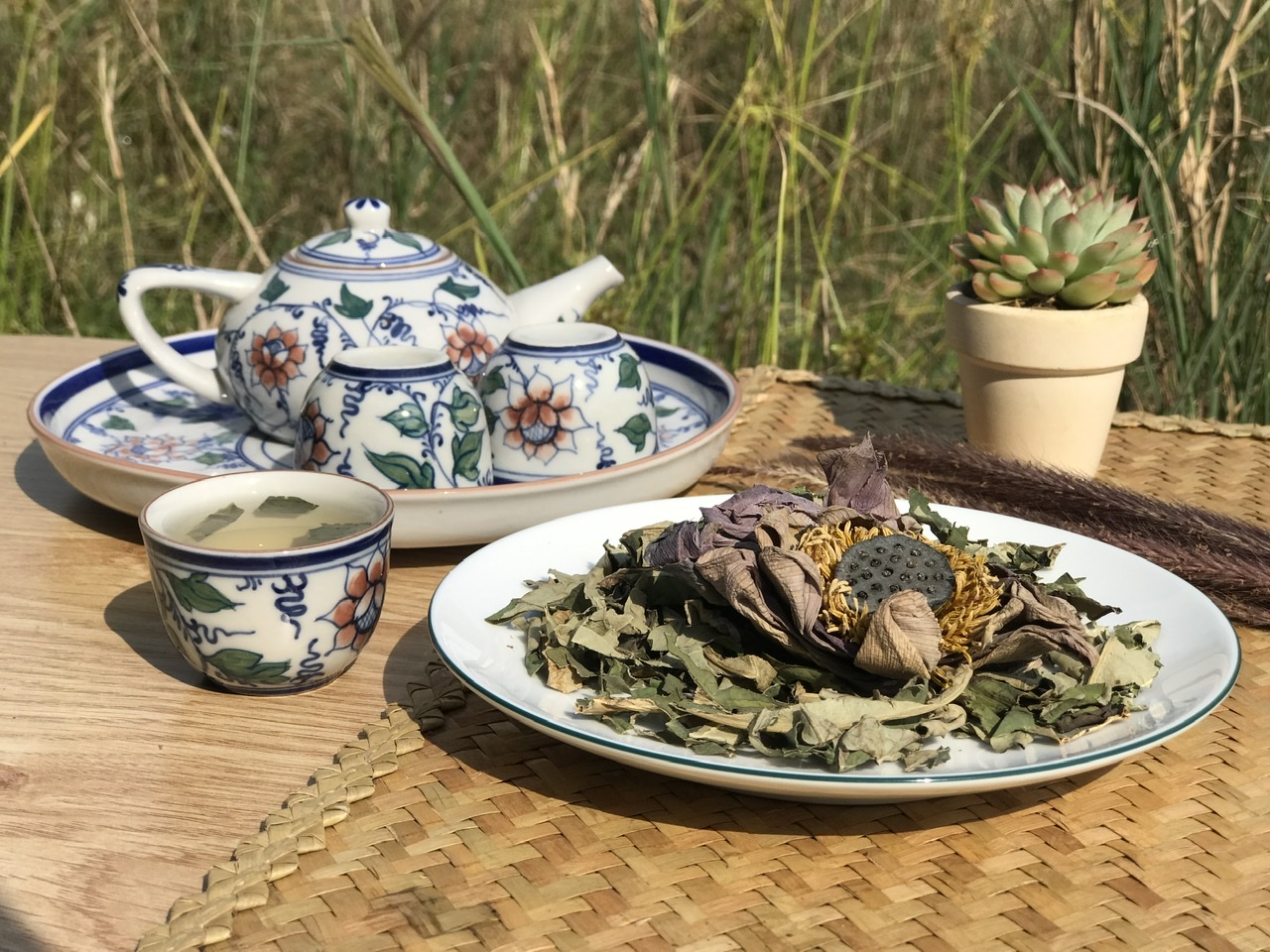 Hướng dẫn sử dụng