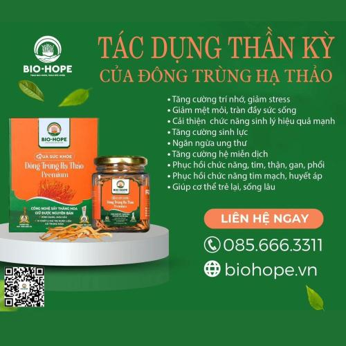 Vì Sao Đông Trùng Hạ Thảo Được Gọi Là "Thần Dược”?