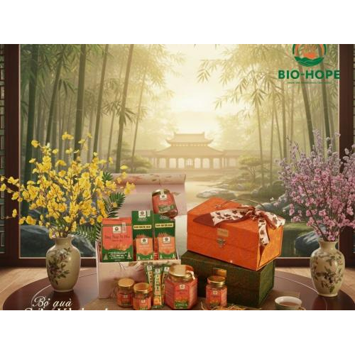 Giới thiệu về bộ quà sức khỏe 2 – quà tết 2026