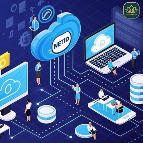 Tầm Quan Trọng Của NETID Đối Với Chuyển Đổi Số
