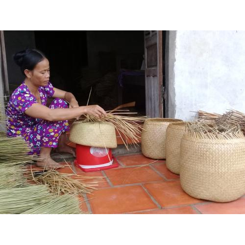 Hợp Tác Xã Phụ Nữ Cỏ Bàng Phú Mỹ