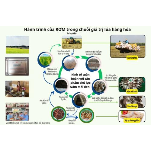 Hợp Tác Xã Nông Nghiệp Tà Đảnh