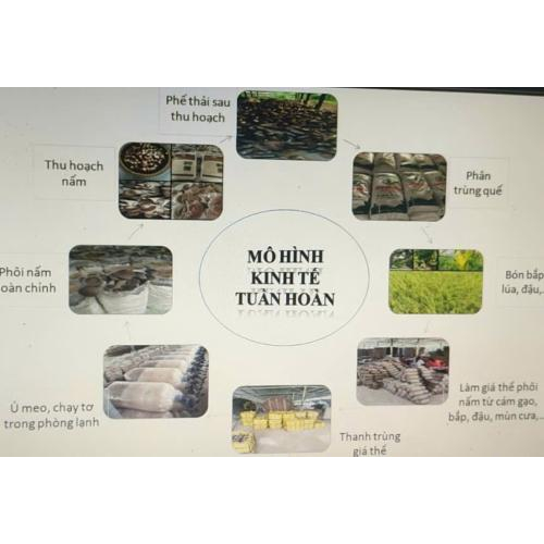 Hợp Tác Xã Nông Nghiệp Tà Đảnh