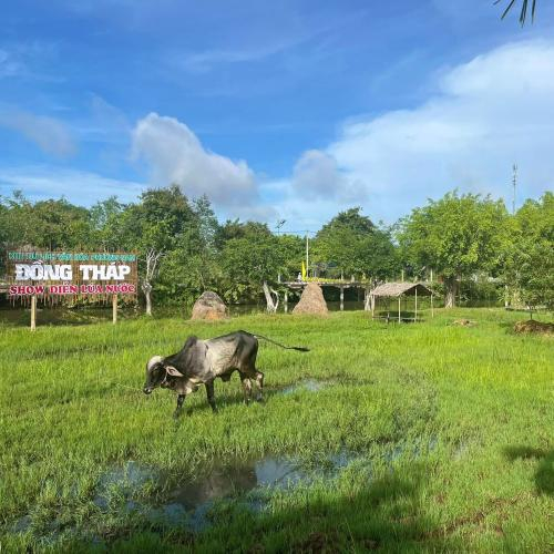 Một Ngày Làm Nông Dân Của Du Khách Tại Khu Du Lịch Văn Hoá Phương Nam